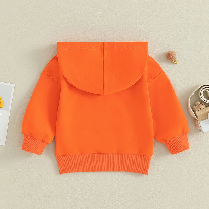 0-36M Infant Baby Hooded Sweatshirt Solid Color Long Sleeve Hoodie Pullovers For Toddler Boys And Girls Spring Fall Sweatshirt