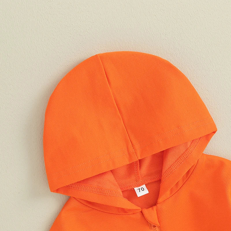 0-36M Infant Baby Hooded Sweatshirt Solid Color Long Sleeve Hoodie Pullovers For Toddler Boys And Girls Spring Fall Sweatshirt