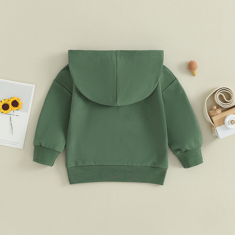 0-36M Infant Baby Hooded Sweatshirt Solid Color Long Sleeve Hoodie Pullovers For Toddler Boys And Girls Spring Fall Sweatshirt